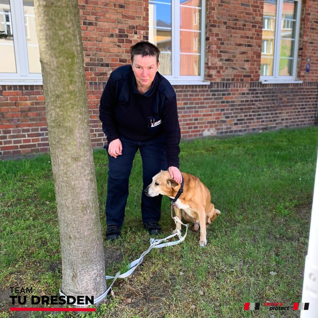 secura protect Mitarbeiterin streichelt braunen Hund, angeleint an einem Baum vor dem Gebäude TU Dresden 